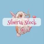 siberia stock