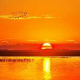 История | Фотохроника