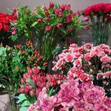 чааааааааат