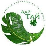ДайТай