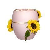 Oriflame продукт