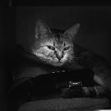 Медицинские и немедицинские записки