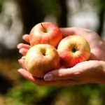 К земле потянуло