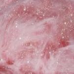 @cuspiderosa – Ailu Partesano