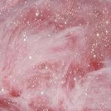 @cuspiderosa – Ailu Partesano