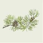 Администратор ГБУЗ “ДС Сосновка ДЗМ”