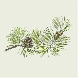 Администратор ГБУЗ “ДС Сосновка ДЗМ”