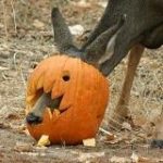 Deerposts (Holiday Edition)