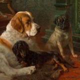 School of Applied Ethology / Школа Прикладной этологии