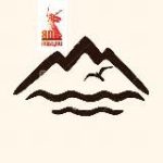 Чайка V теме