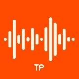 Техника речи