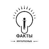 Интересные факты