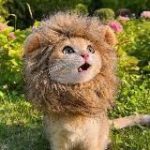 Ламповый канал