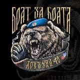 Дружина – Русский Щит