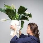 (Не)идеальный город Валерии Савиных