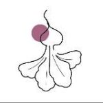 Дневник Ижен #умнаясвекла