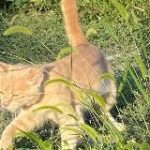 милые текста [ уголок любви ]