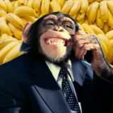 Шерстяные мемы