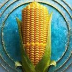 Аугсбург Лайв I Augsburg Live