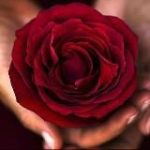 КУПЕЛЬ ИЗОБИЛИЯ ЕВГЕНИИ АХМЕДОВОЙ