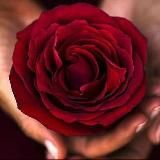 КУПЕЛЬ ИЗОБИЛИЯ ЕВГЕНИИ АХМЕДОВОЙ