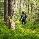 Алексей Хвостов