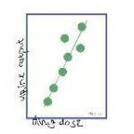 как они растут /