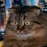 Вятская интернет-аристократія | ВИъА