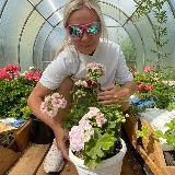 Пеларгонии Света Гордеева