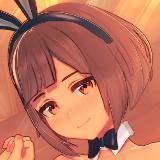 Anna Anon collection