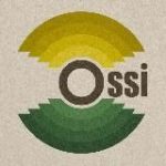 Ossi bar