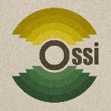 Ossi bar
