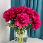 ХОЗЯЙКА МЫСЛЕЙ