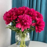 ХОЗЯЙКА МЫСЛЕЙ