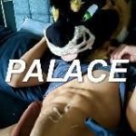 PalaceWolf – OnlyFans