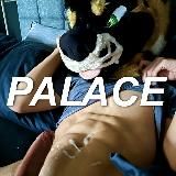 PalaceWolf – OnlyFans