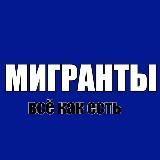 Мигранты – всё как есть