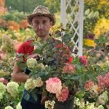 Питомник-Гортензий.рф @sadovnik_ma