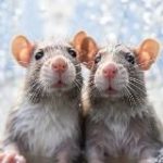 Без обид, но… | Троицкая Ксения