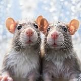 Без обид, но… | Троицкая Ксения