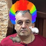 Коллаборанты Покровска/Мирнограда