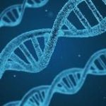 Женская Медицина | Здоровье