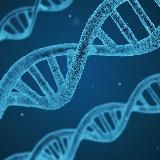 Женская Медицина | Здоровье