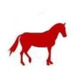 Espanholito | Espanhol | Spanish | Испанский | 西班牙语 | Іспанська | Español