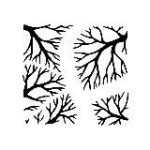 Forestforum – лесной канал