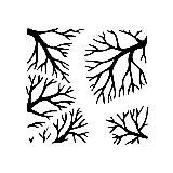 Forestforum – лесной канал