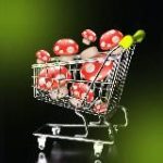 грибы в тележке