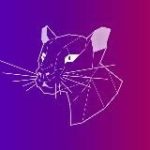 Discord Insider – Новости Дискорда