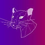 Discord Insider – Новости Дискорда