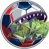 [NE]футбольная страна